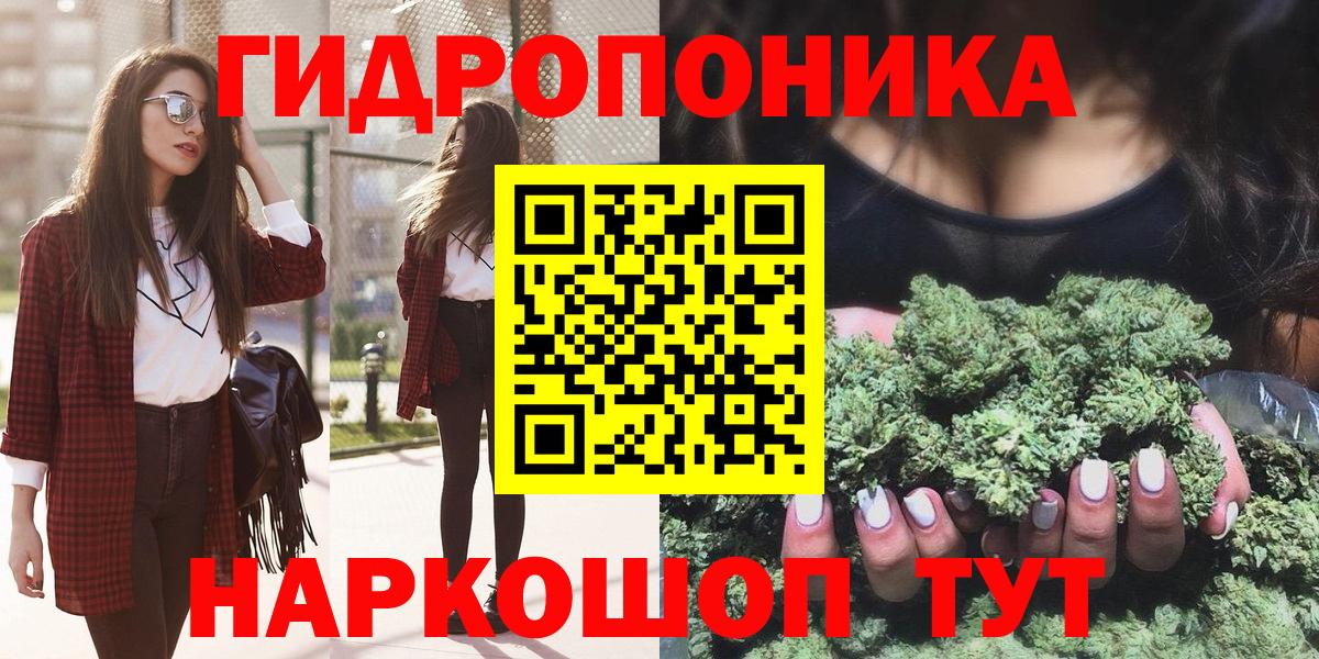 Канабис тримм  МАРИХУАНА Bruce Banner  Кулебаки  Каннабис сатива  Вход с VPN 